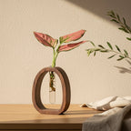 Vaso Propagação Aura - Bloomelier Decor